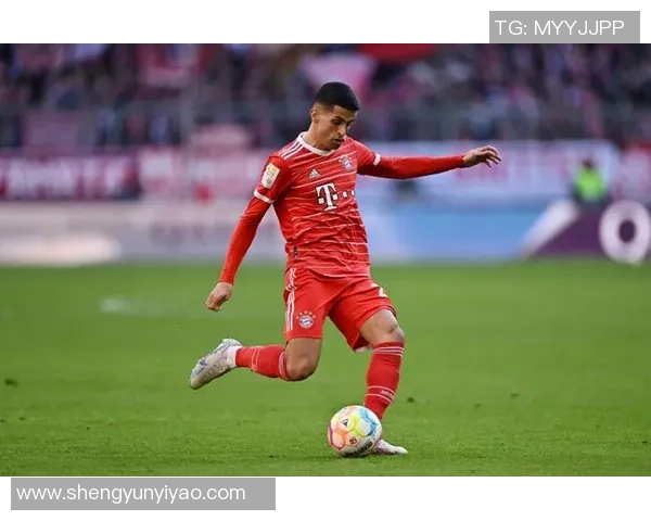 坎塞洛:从边缘球员到球队核心的华丽转身与未来展望