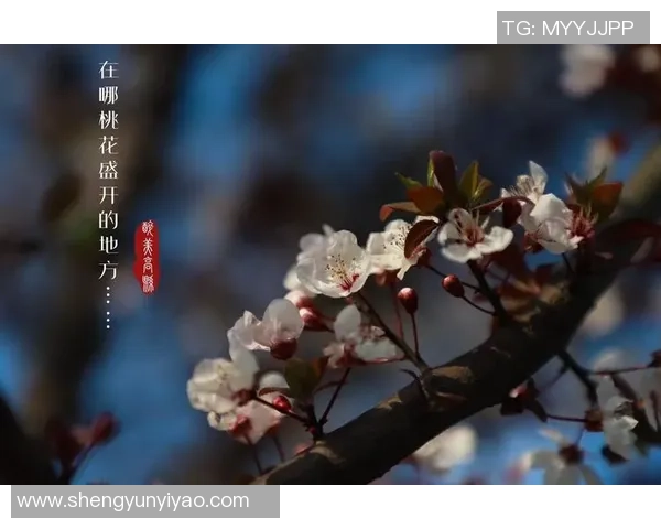 林葳的成长之路：从青涩学子到职场精英的蜕变与思考