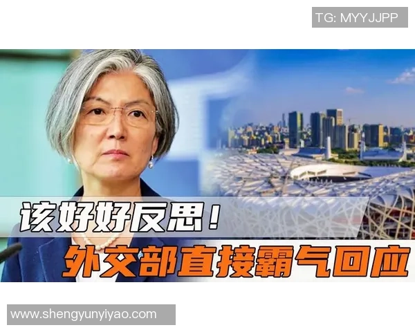 中国与韩国视频对抗事件引发热议背后的真相与反思