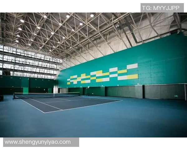 上海网球队技术分析与发展策略探讨聚焦网球运动的未来与挑战