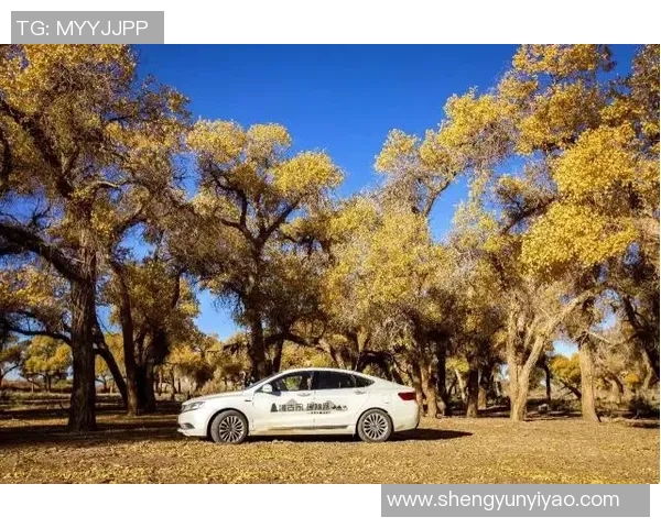 河床与波诺特山丘的奇妙对话探索自然与人文的交融之美 河床与波诺特山丘的奇妙对话探索自然与人文的交融之美